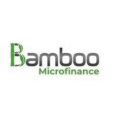 Bamboo Microfinance