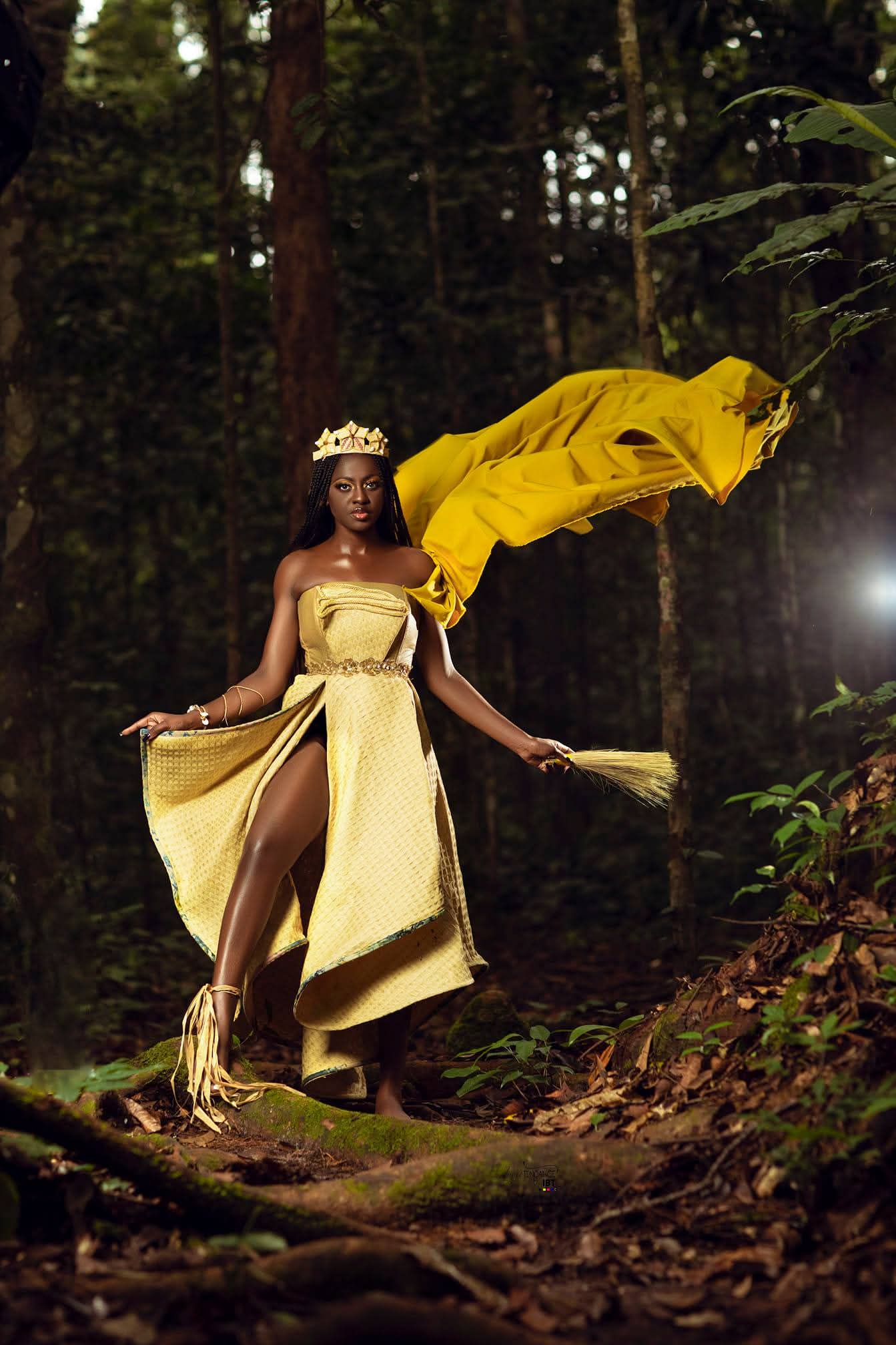 IMAGE TENDANCE BY IBT 
