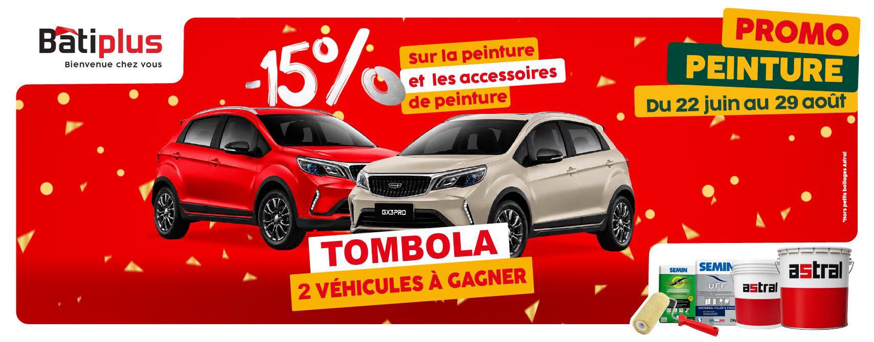 Promo Peinture